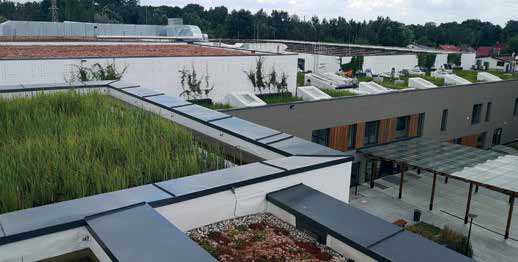 Retencjonowanie wody z wykorzystaniem dachów zielonych, Kożuchowski, Przewodnik Projektanta